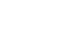 掌舵AI